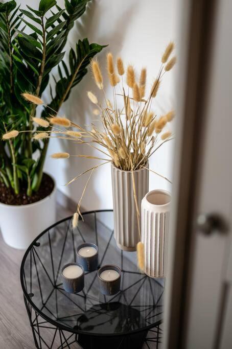 Elegant Fully Equipped Near Centre Appartement